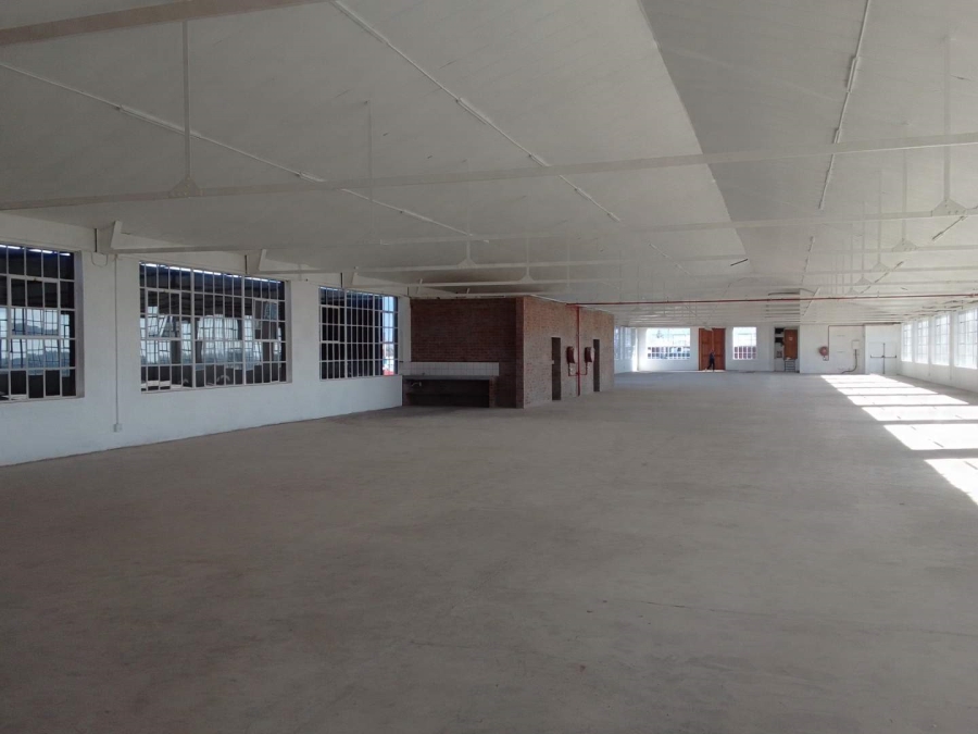 To Let commercial Property for Rent in Diep River Western Cape